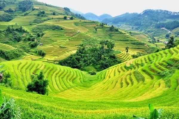 Sapa4 (2)